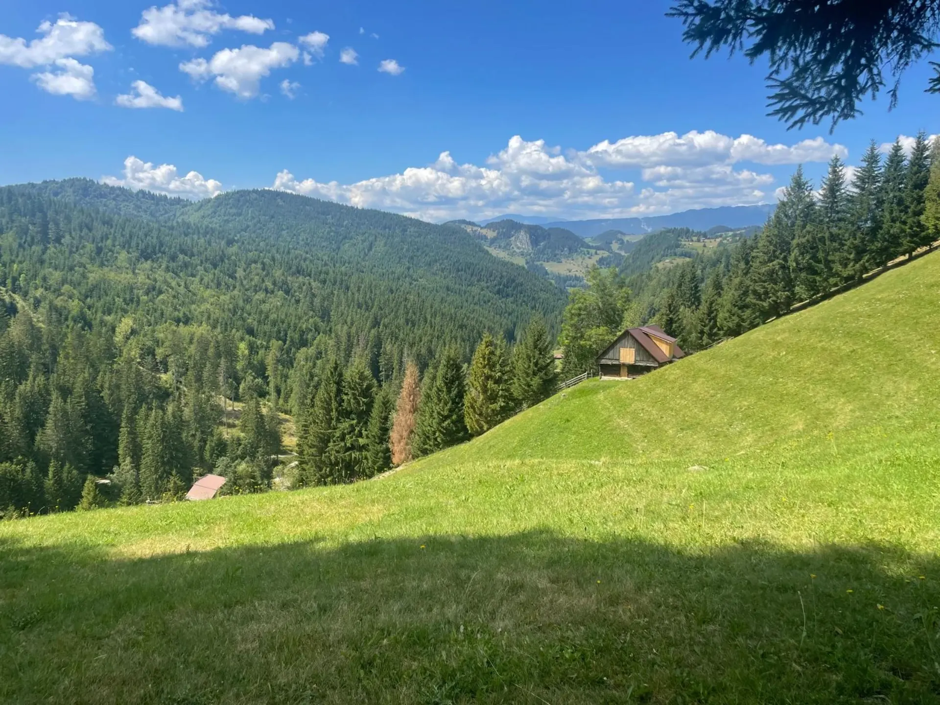 Valea Popii