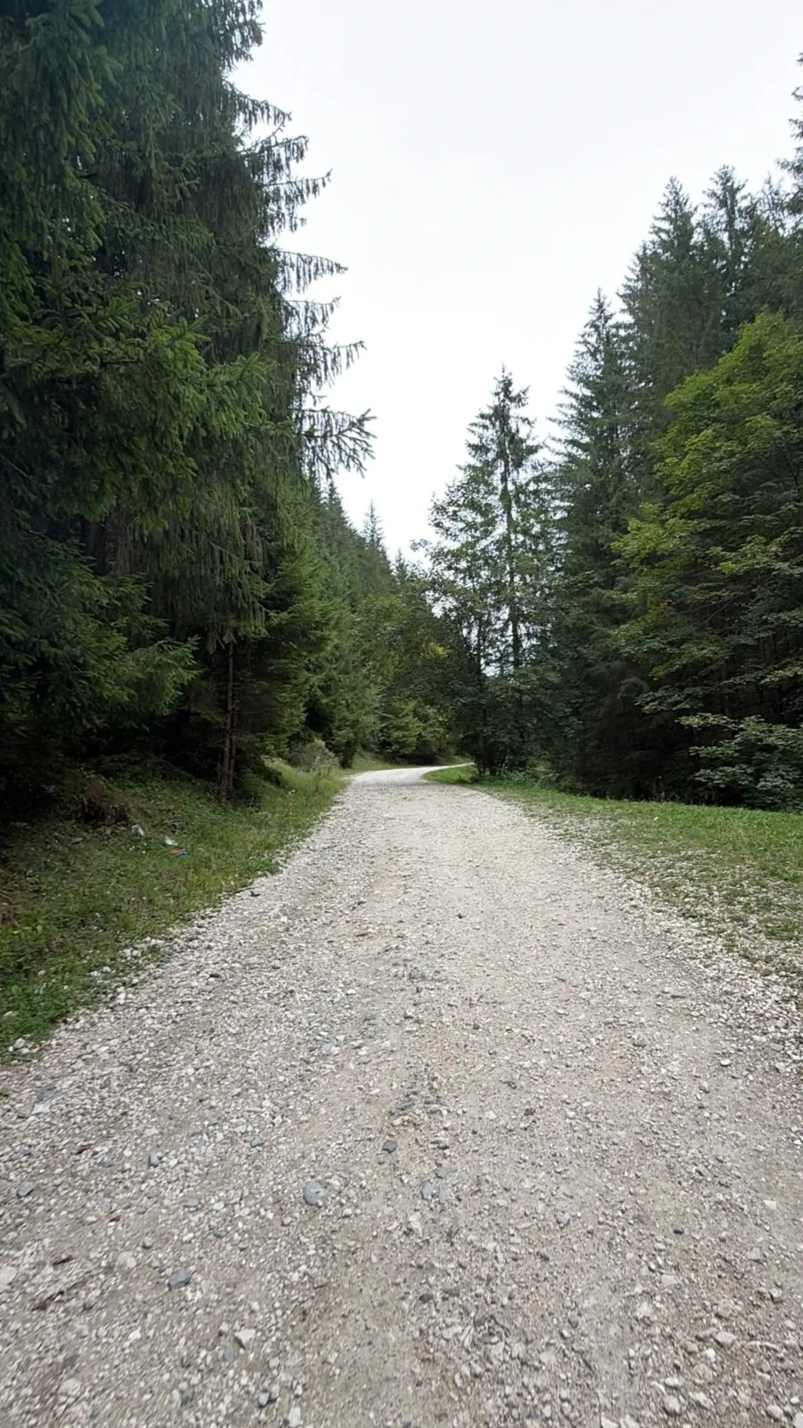 Parcul Național Bucegi