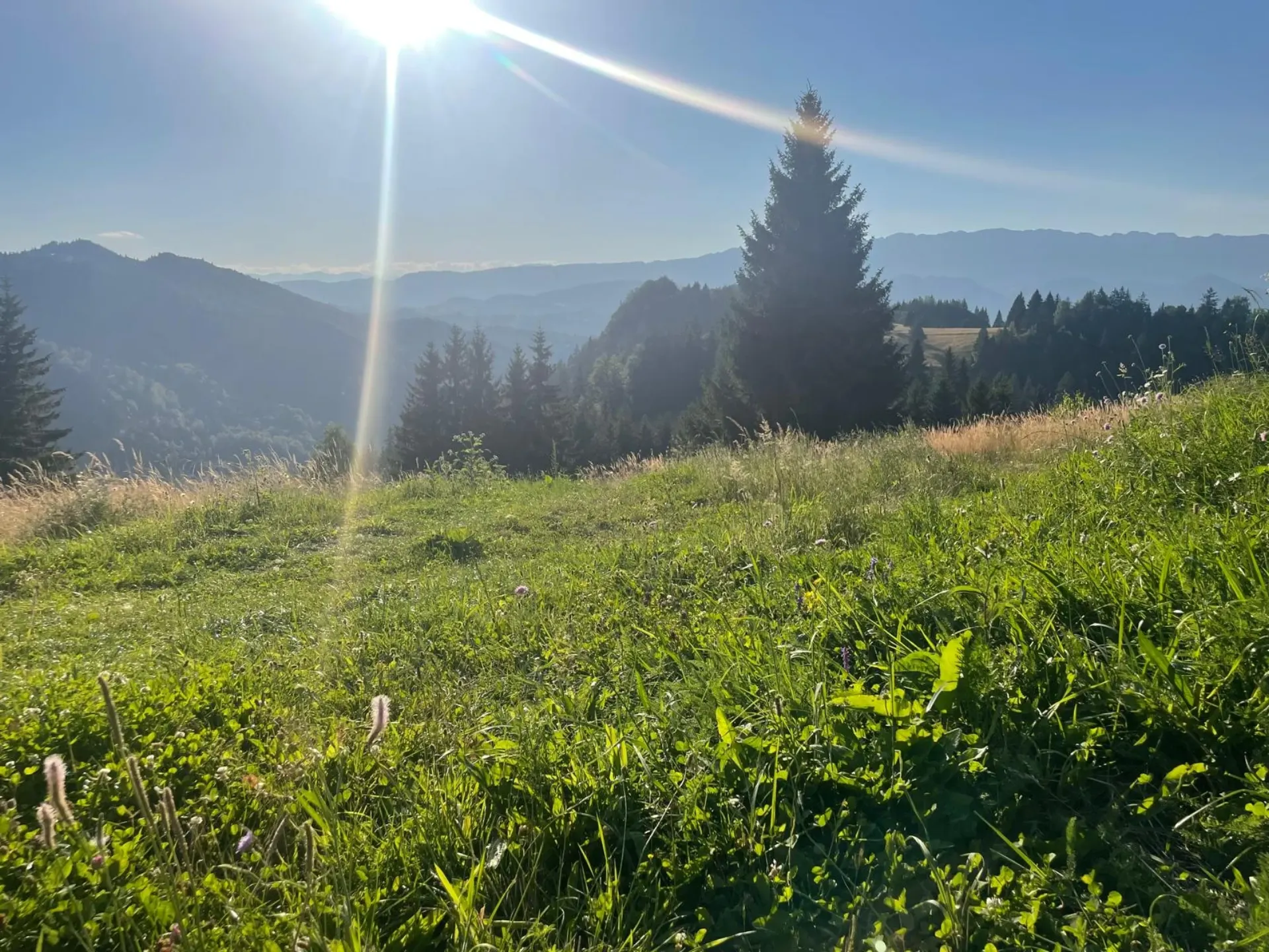 Traseu montan 5