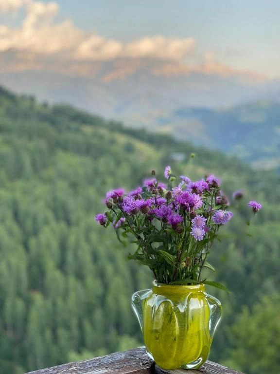 Flori de munte pe balcon, cu vale verde în fundal