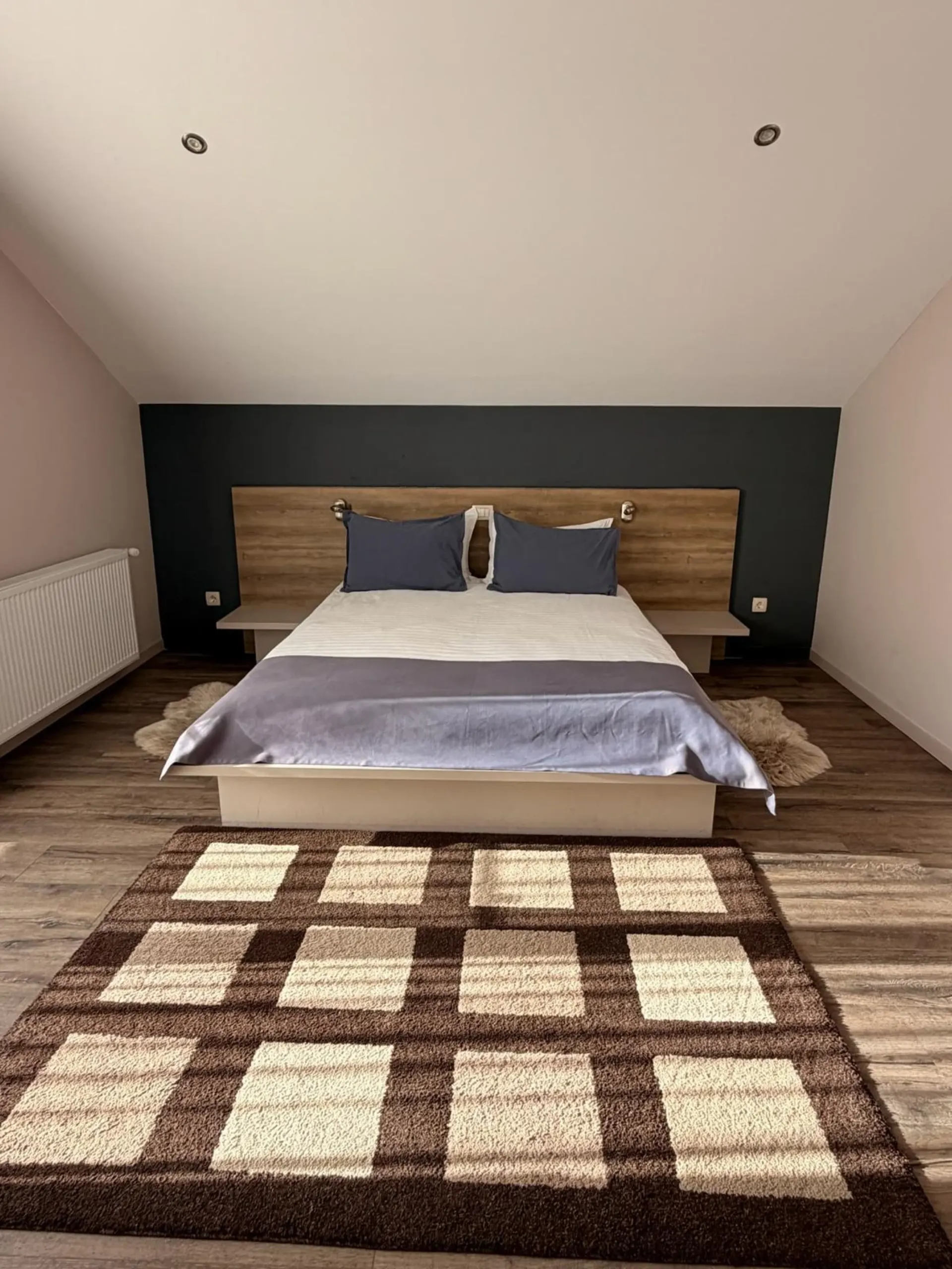 Studio King cu o canapea extensibilă — foto 3